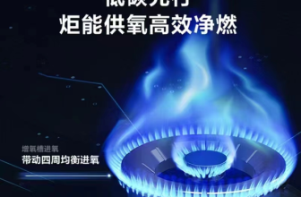 Precautions about Success by Amazon